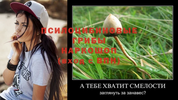 мяу мяу кристалл Балахна